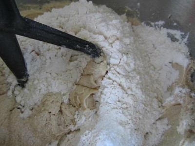 Chocolate Chip Snickerdoodle Blondies 3