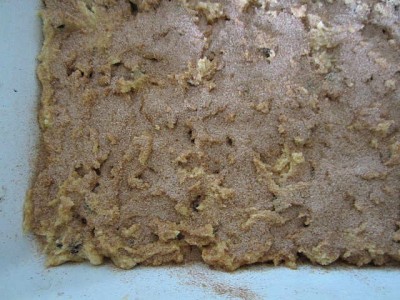 Chocolate Chip Snickerdoodle Blondies 6
