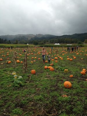 Pumpkin Patch